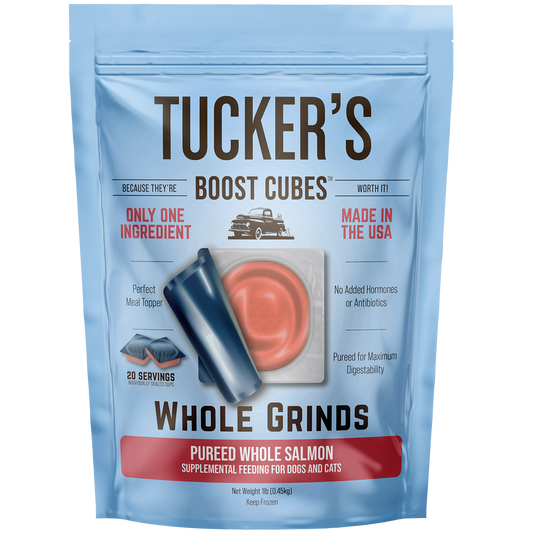 Tucker's Frozen Boost Cubes Whole Salmon 1lb