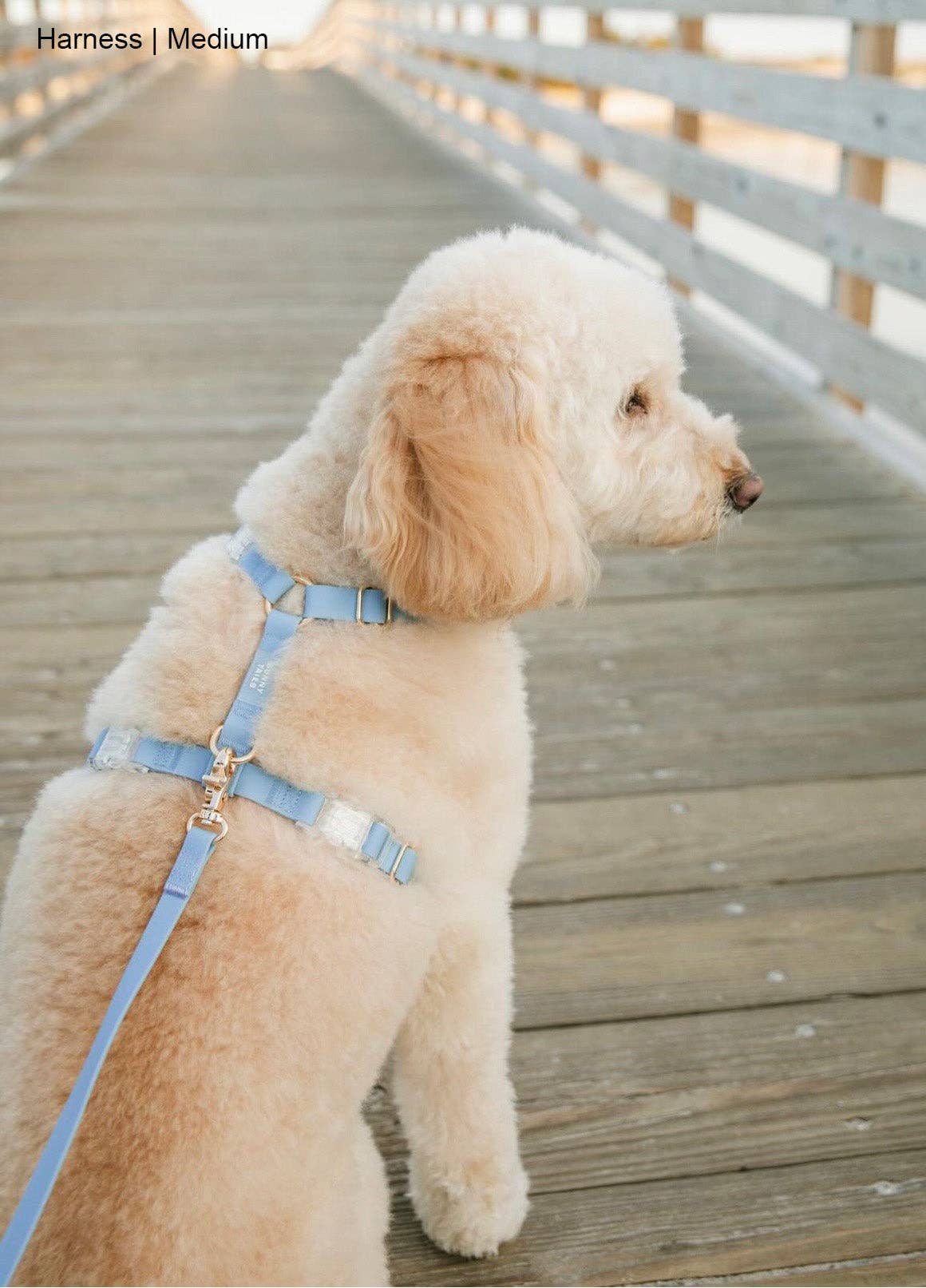Malibu Blue Cloud Lite Dog Harness