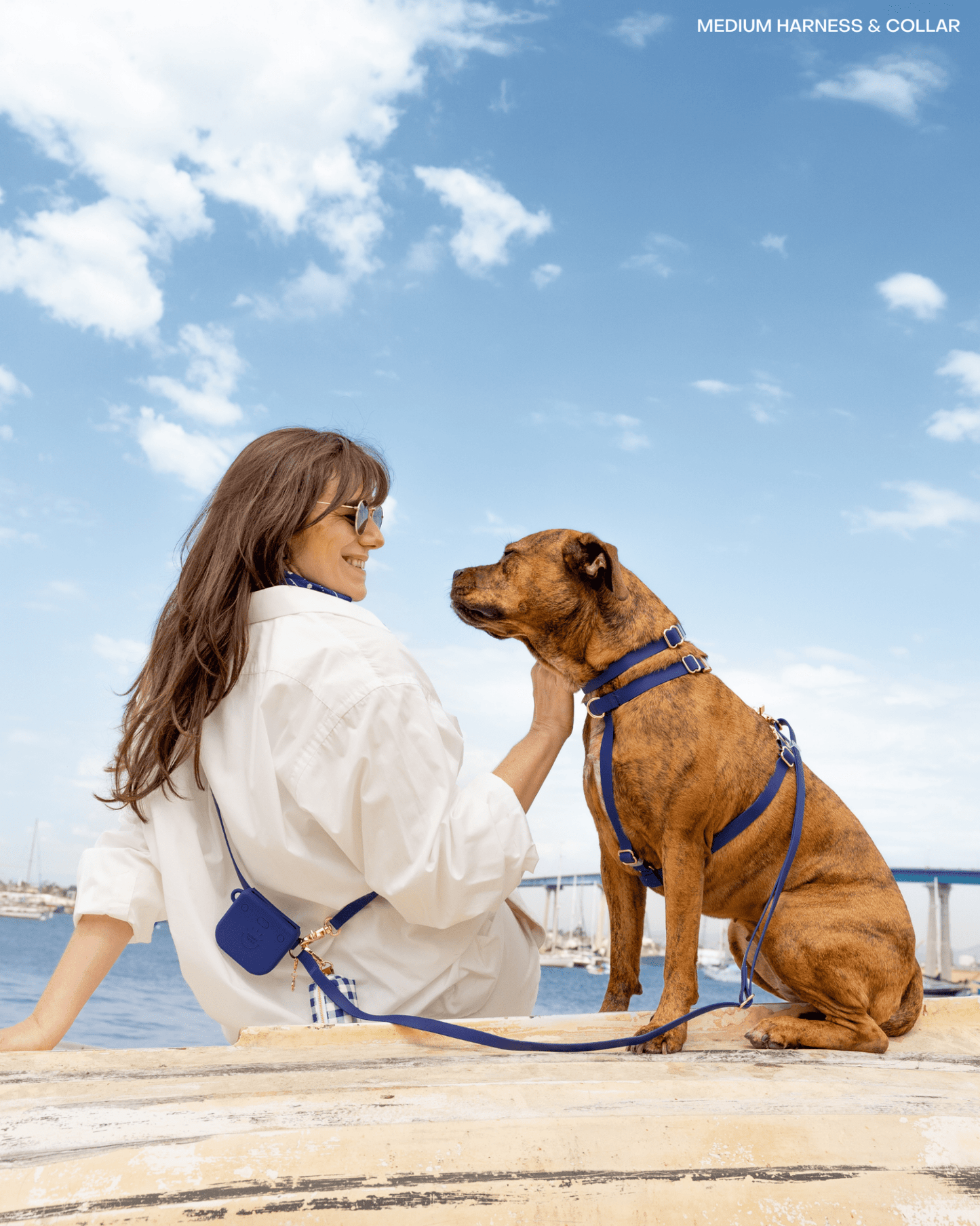 Navy Cloud Lite Dog Harness