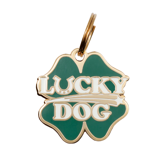 Lucky Dog Pet ID Tag