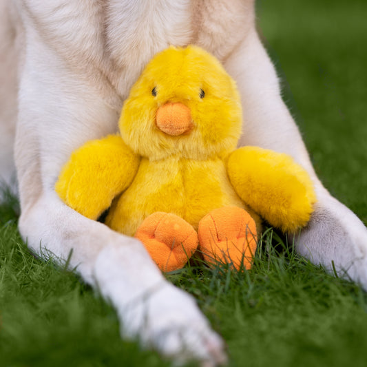Fluff & Tuff: Howie Duck