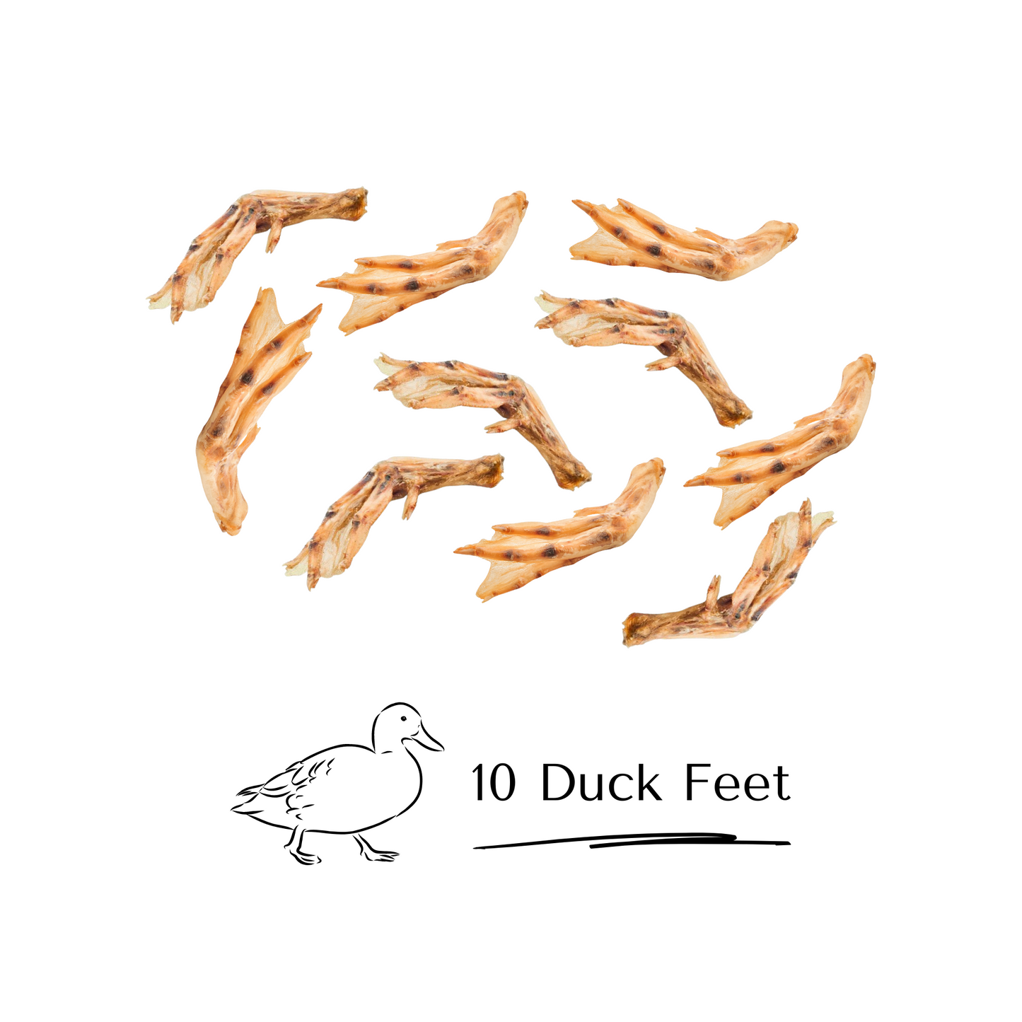 10 Pack of Duck Feet