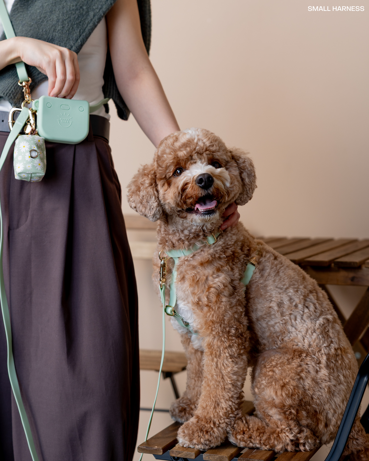 Pistachio Green Cloud Lite Dog Harness