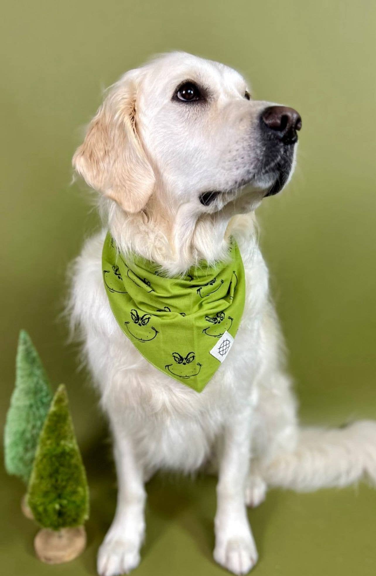 Grinch Dog Bandana