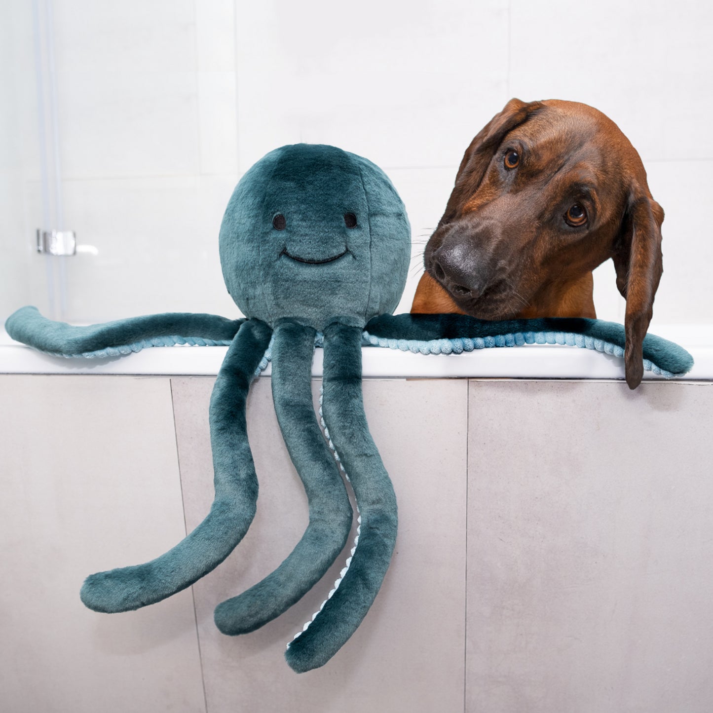 Fluff & Tuff: Stevie Octopus