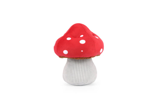 Mutt Mushroom