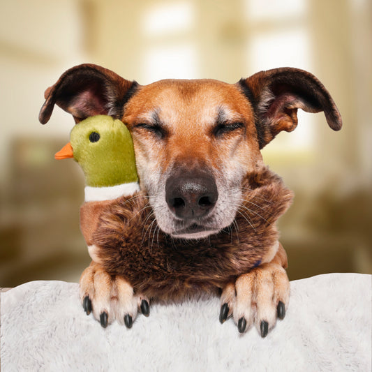 Fluff & Tuff: Morley Mallard