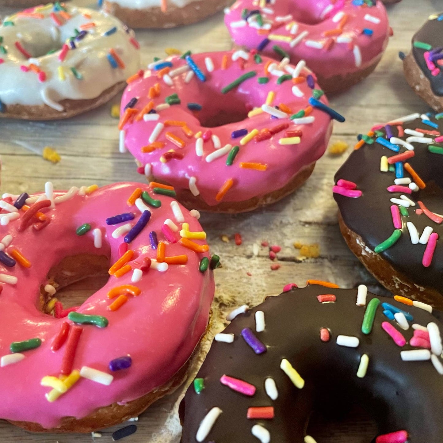 HOMER Classic🍩 Donut Dog treats
