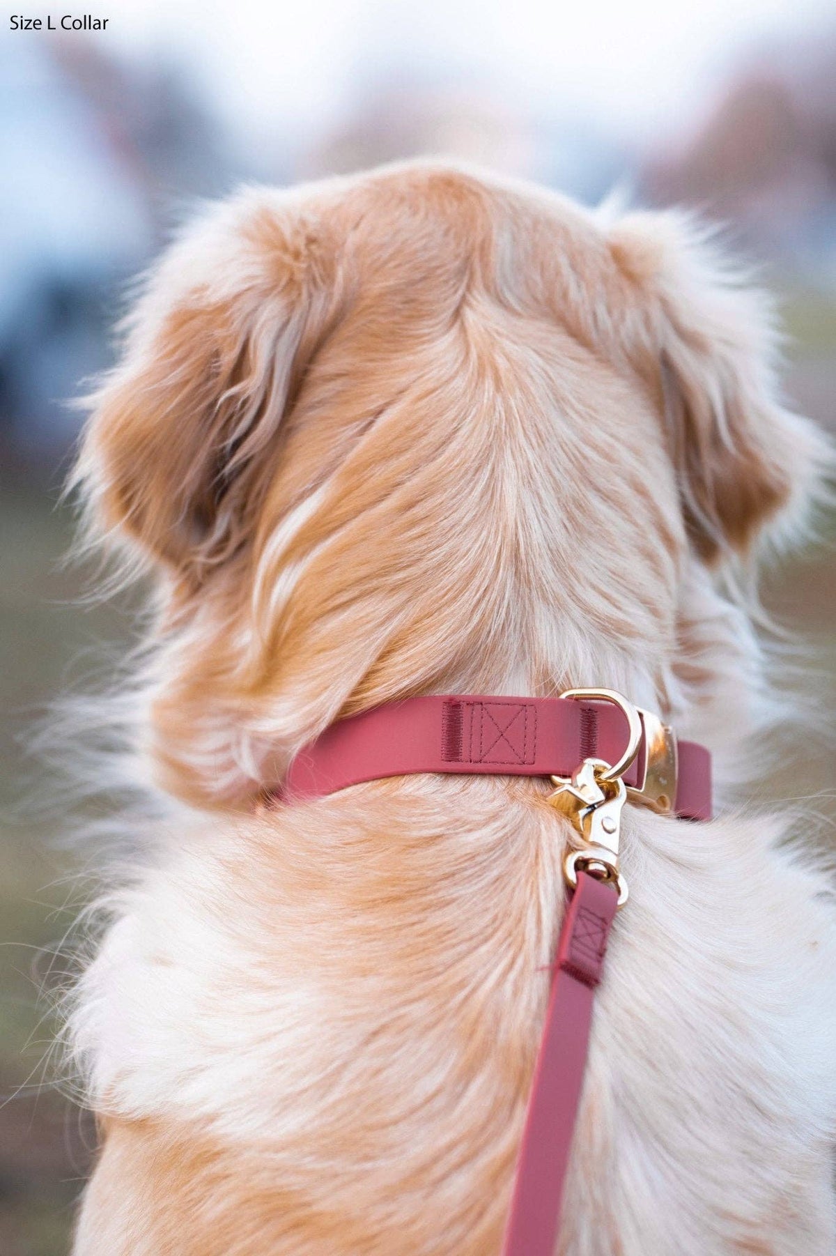 Mulberry Burgundy Waterproof Cloud Dog Leash