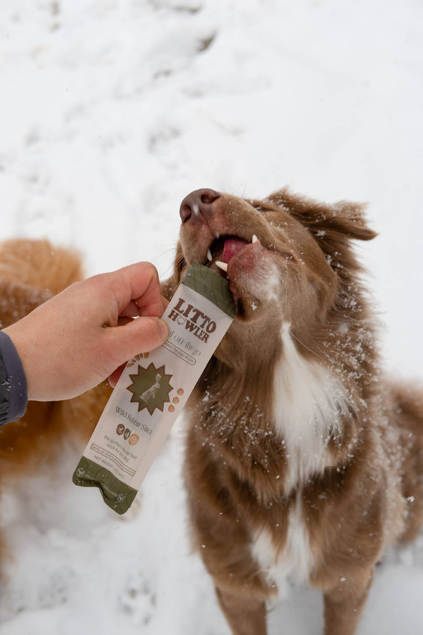 Wild Rabbit Stick