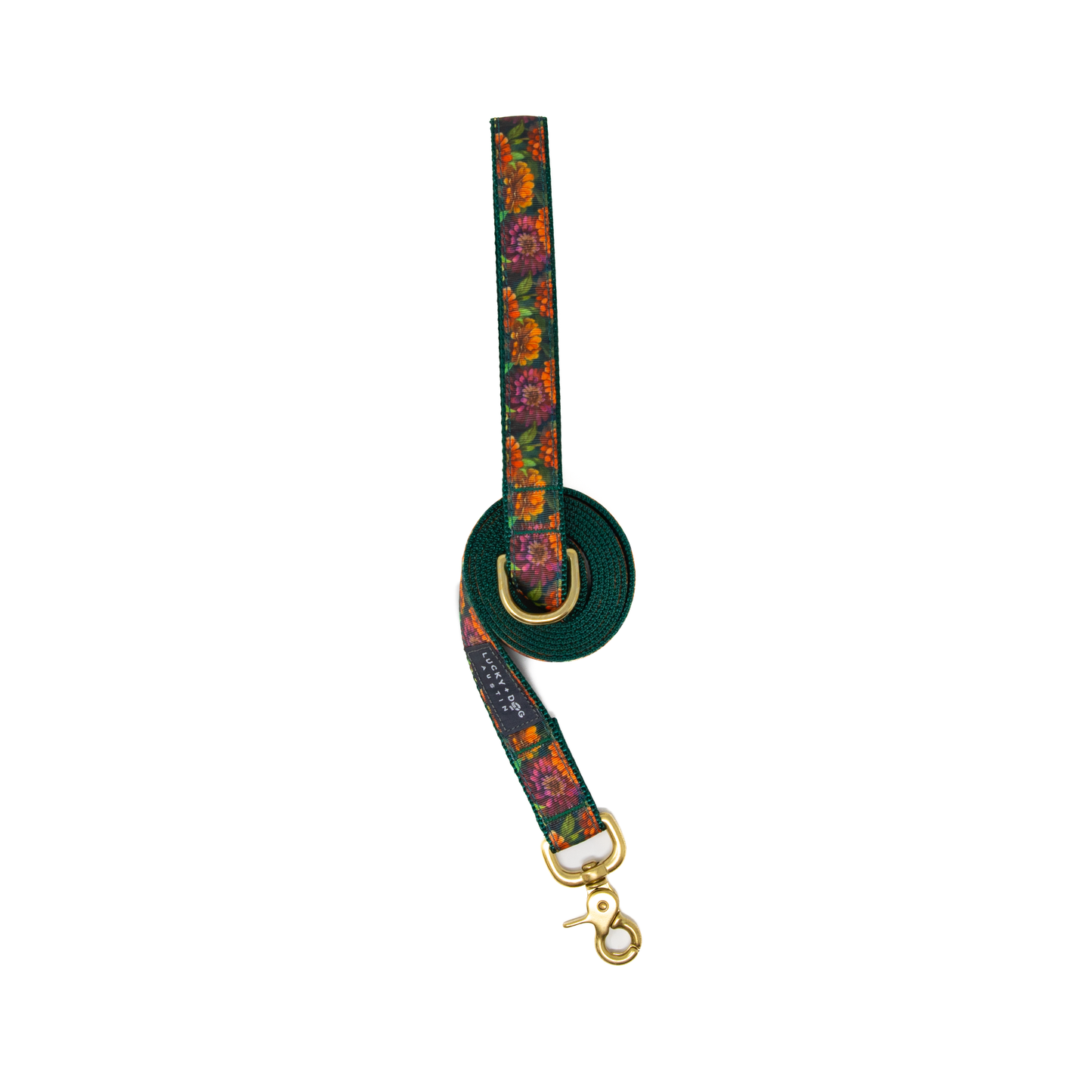 Zinnia Zest Dog Collar