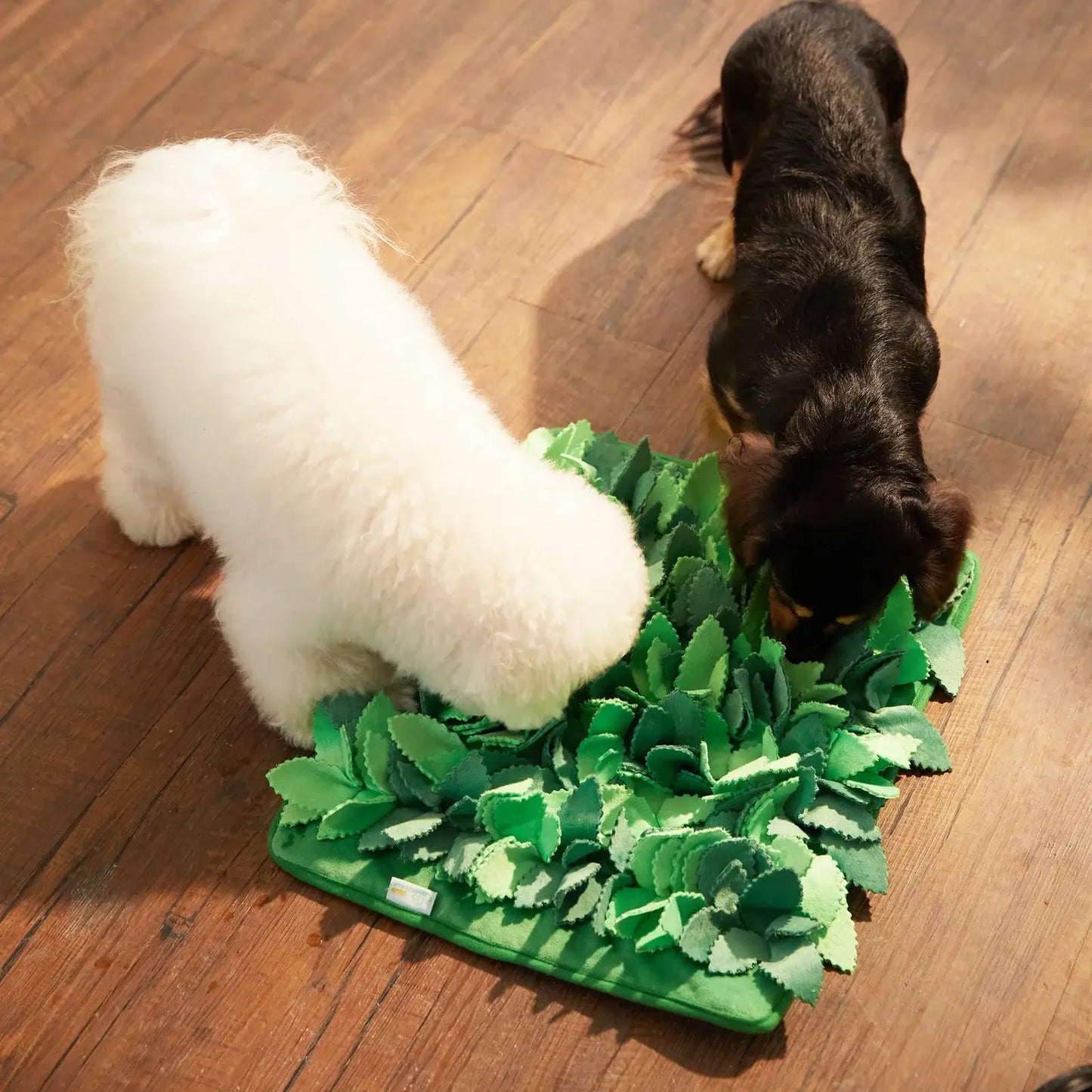 Puzzle Snuffle Mat