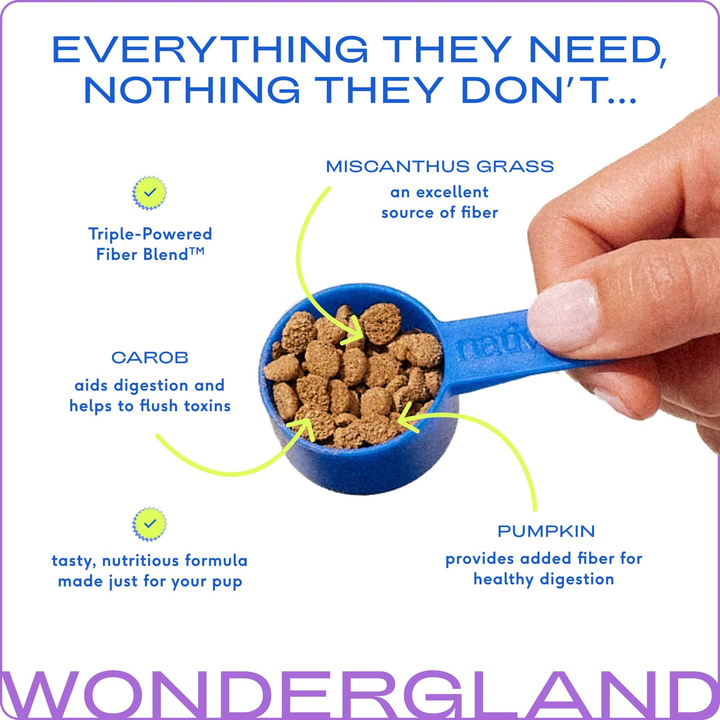 Anal Gland Supplement: 8oz