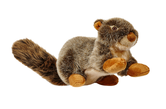 Fluff & Tuff: Nuts Squirrel