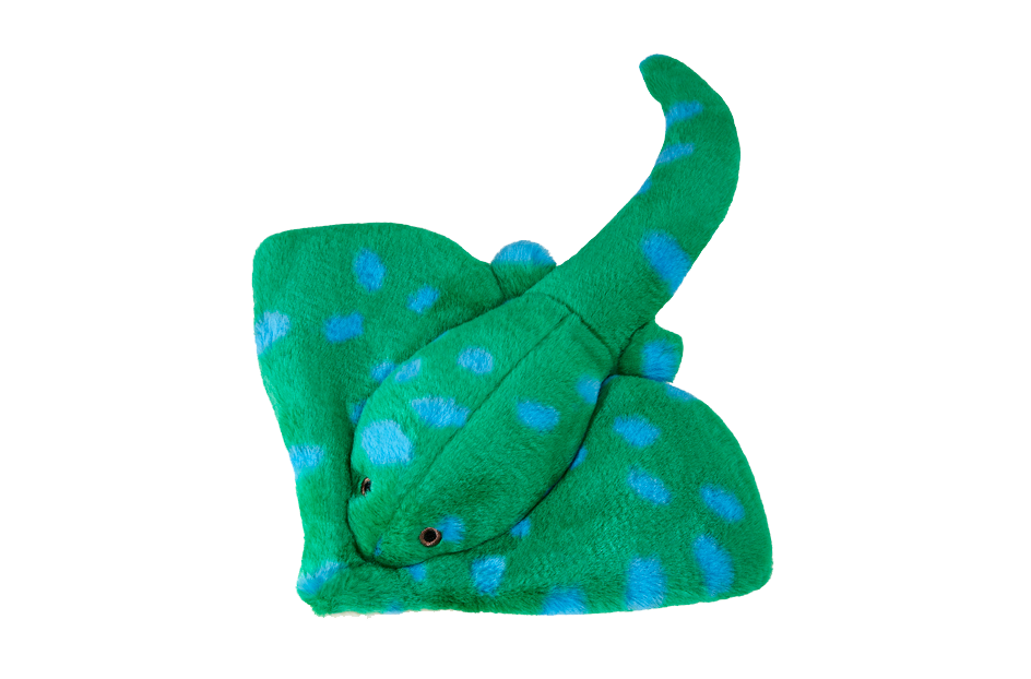 Fluff & Tuff: Gordon Stingray