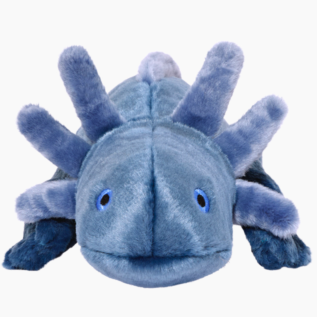 Fluff & Tuff: Millie Axolotl