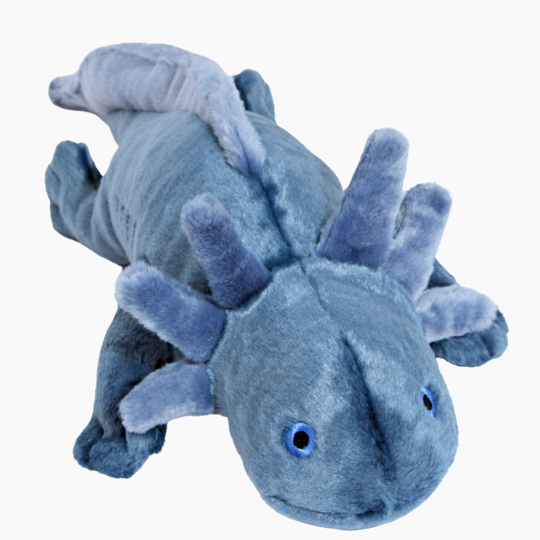 Fluff & Tuff: Millie Axolotl