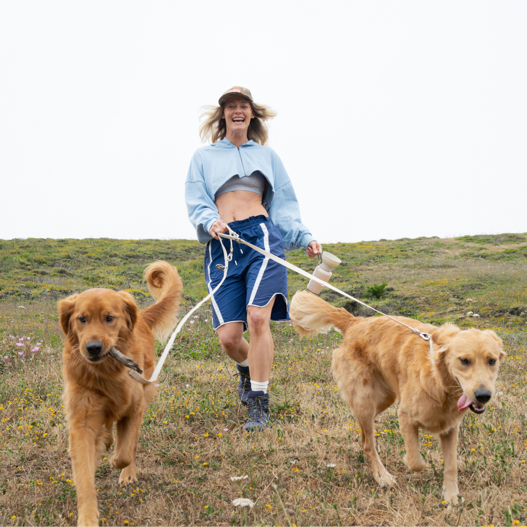 Premium Waterproof 5ft Dog Leash Padded (Mixed 5 Pack)
