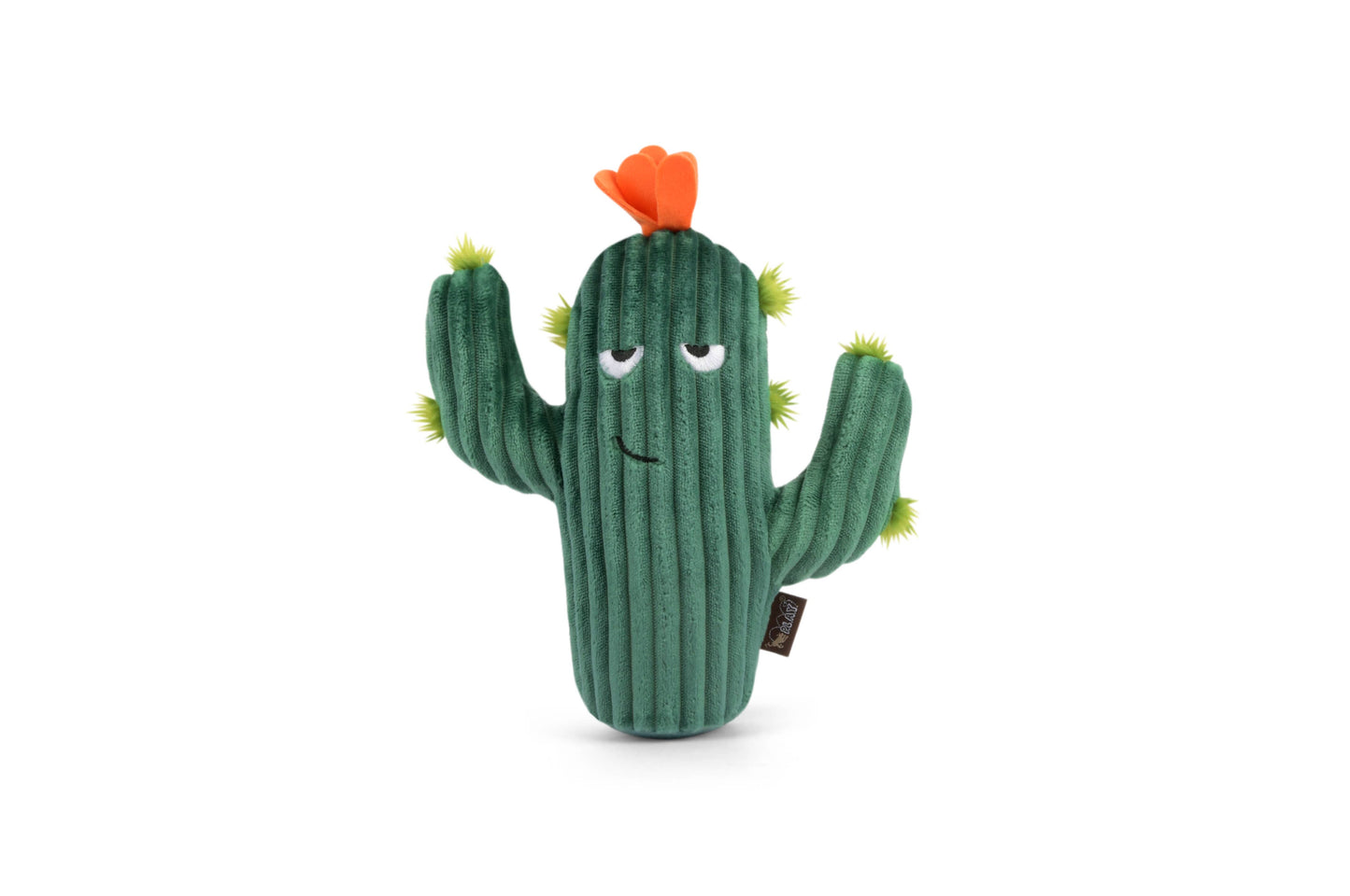 Prickly Pup Cactus