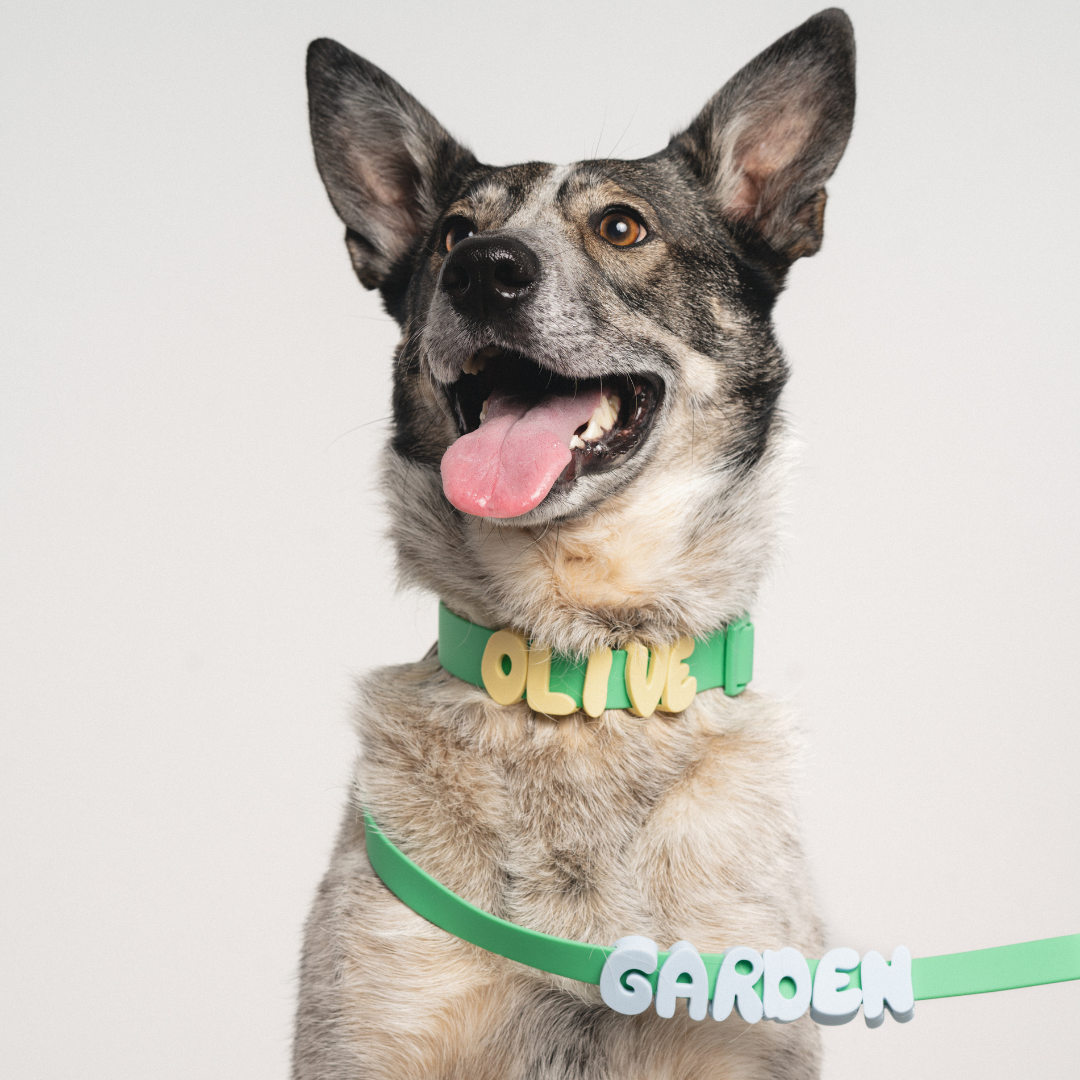 Mixed Dog Charms + Charm Bar