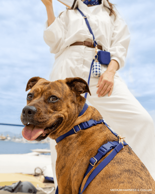 Navy Cloud Lite Dog Harness