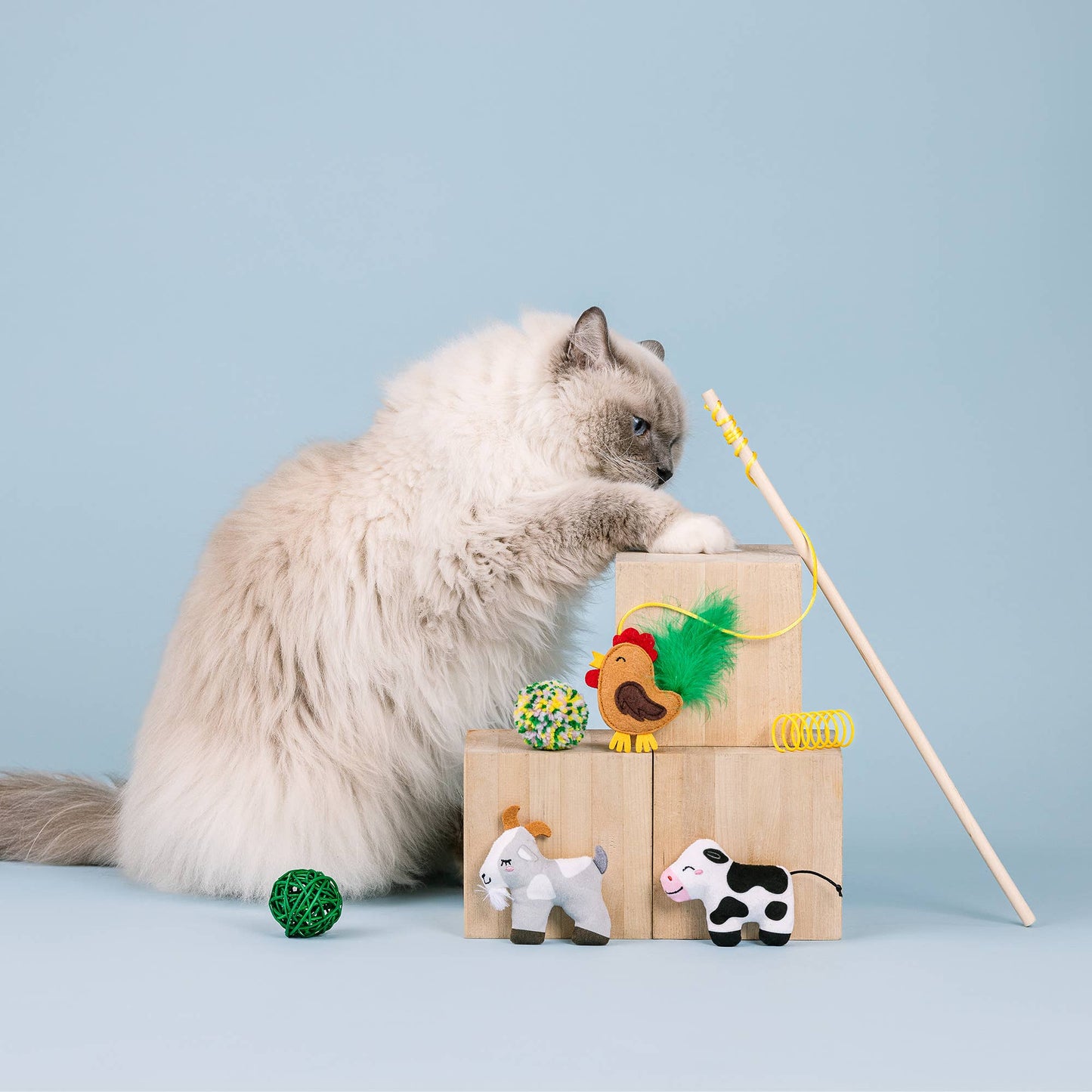 PASTURE PALS 6PC CAT TOY SET