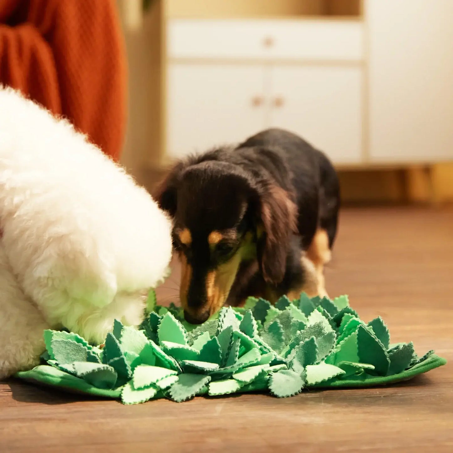 Puzzle Snuffle Mat