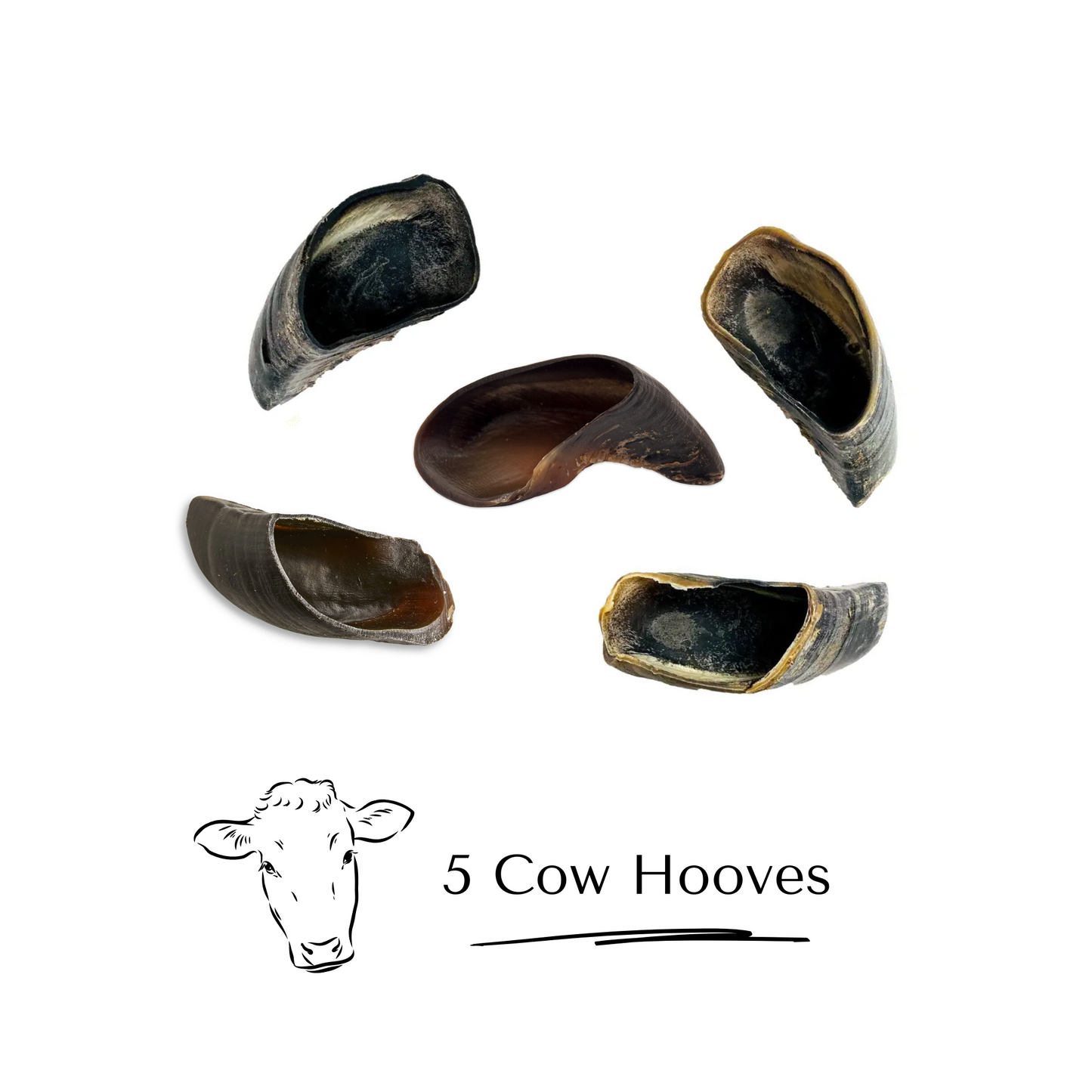 5 Pack Cow Hooves