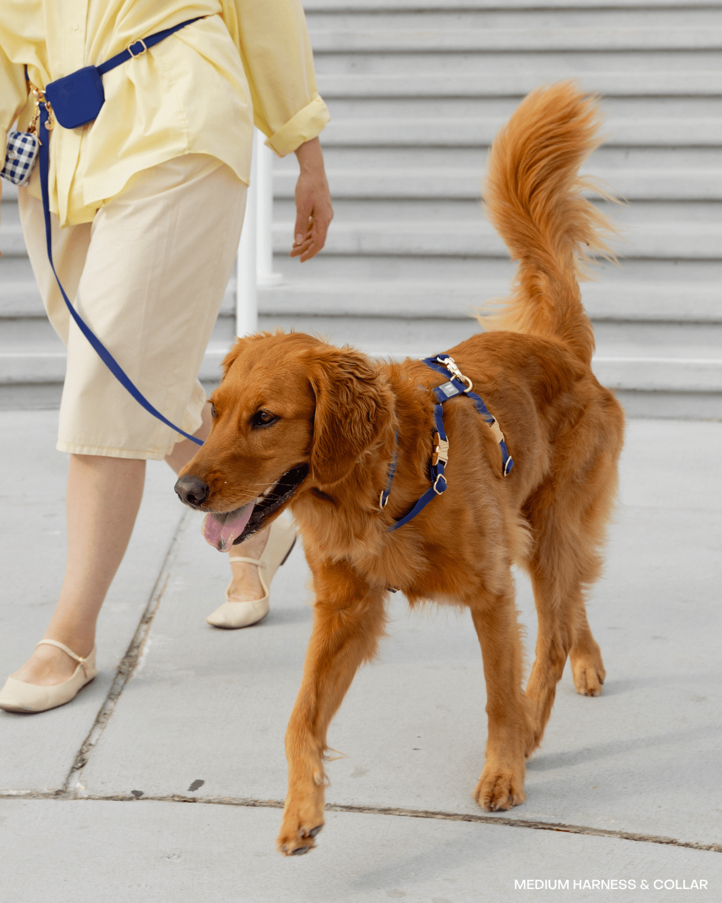 Navy Cloud Lite Dog Harness