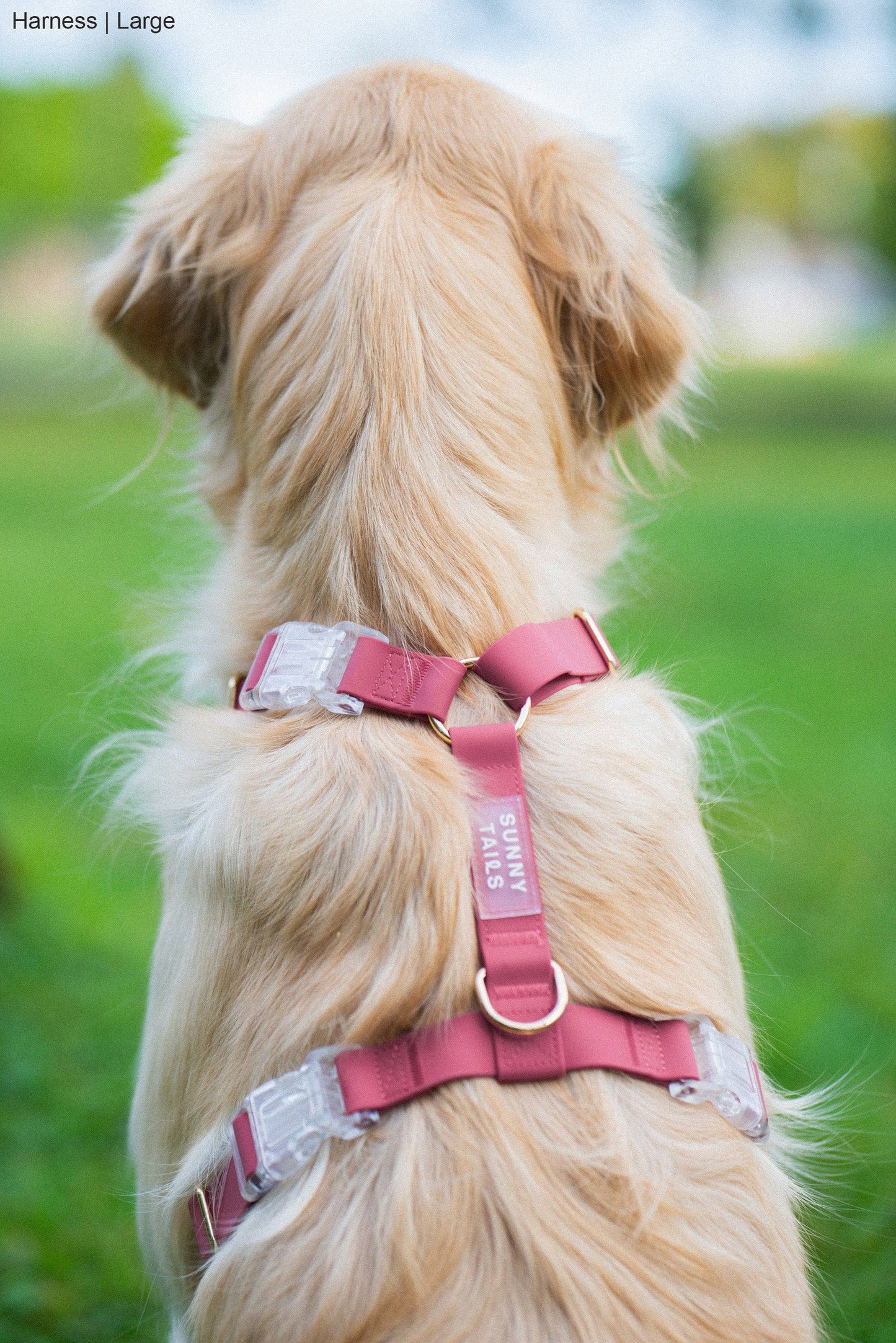 Mulberry Burgundy Cloud Lite Dog Harness