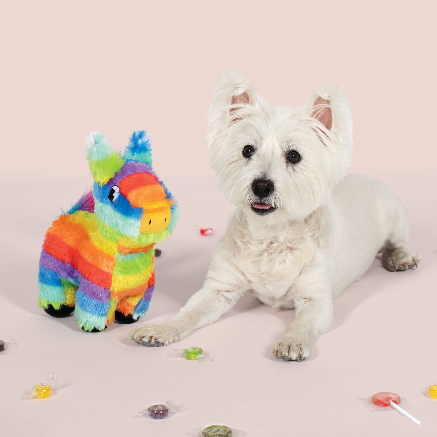 PINATA PARTY BOY PLUSH DOG TOY