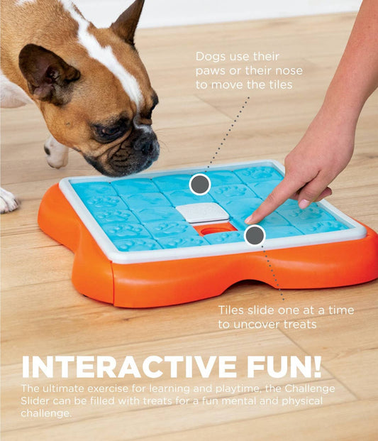 Nina Ottosson Challenge Slider Interactive Treat Dog Puzzle