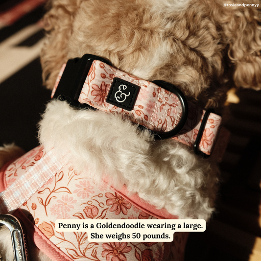 Woodland Wildflowers Collar