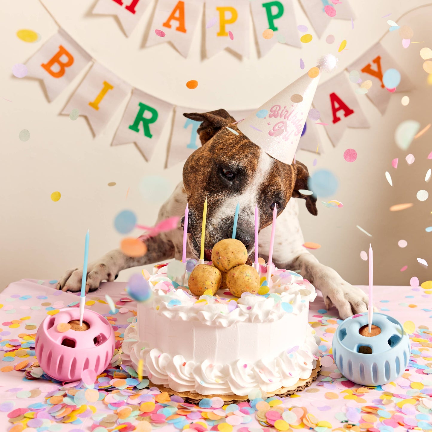 Pupsicle Pops - Birthday
