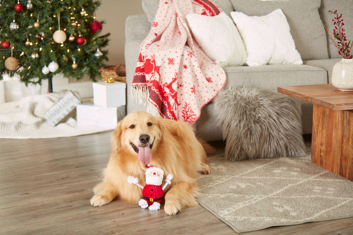 Pearhead Real Santa Claus
