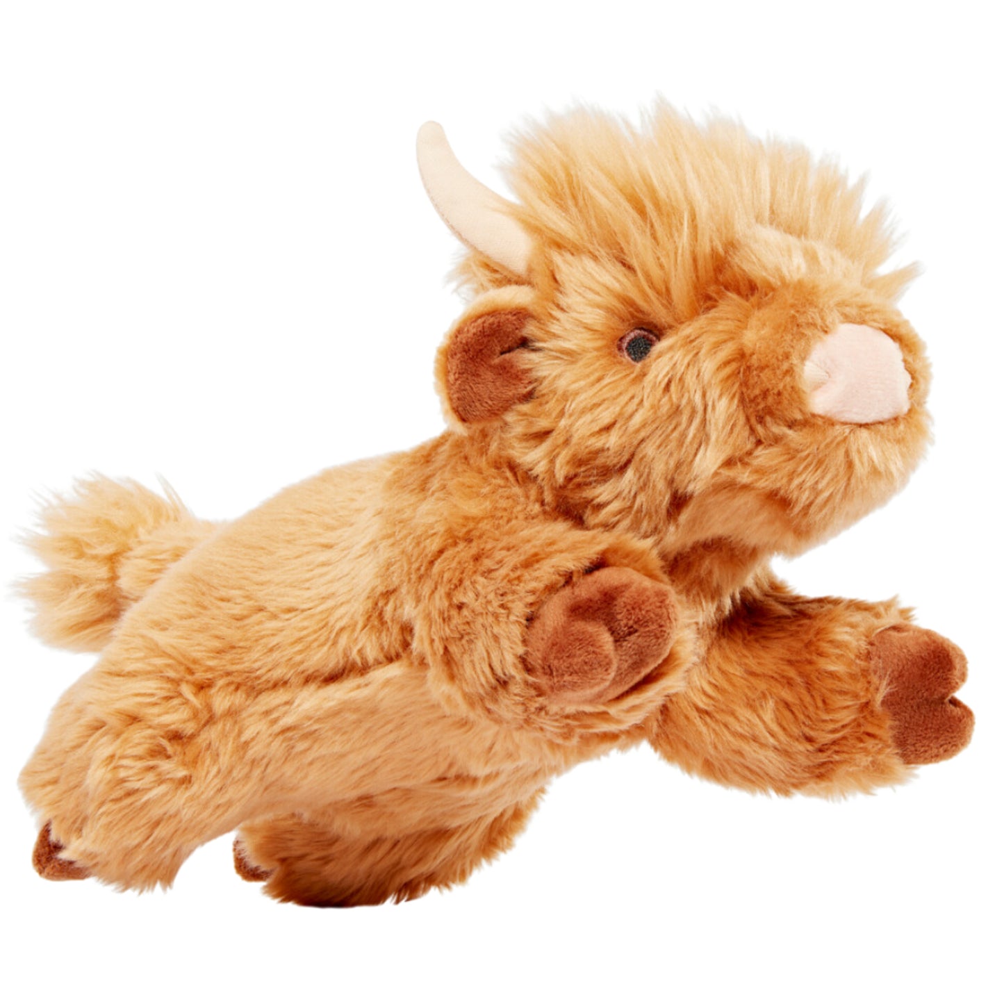 Fluff & Tuff: Shaggy Highland