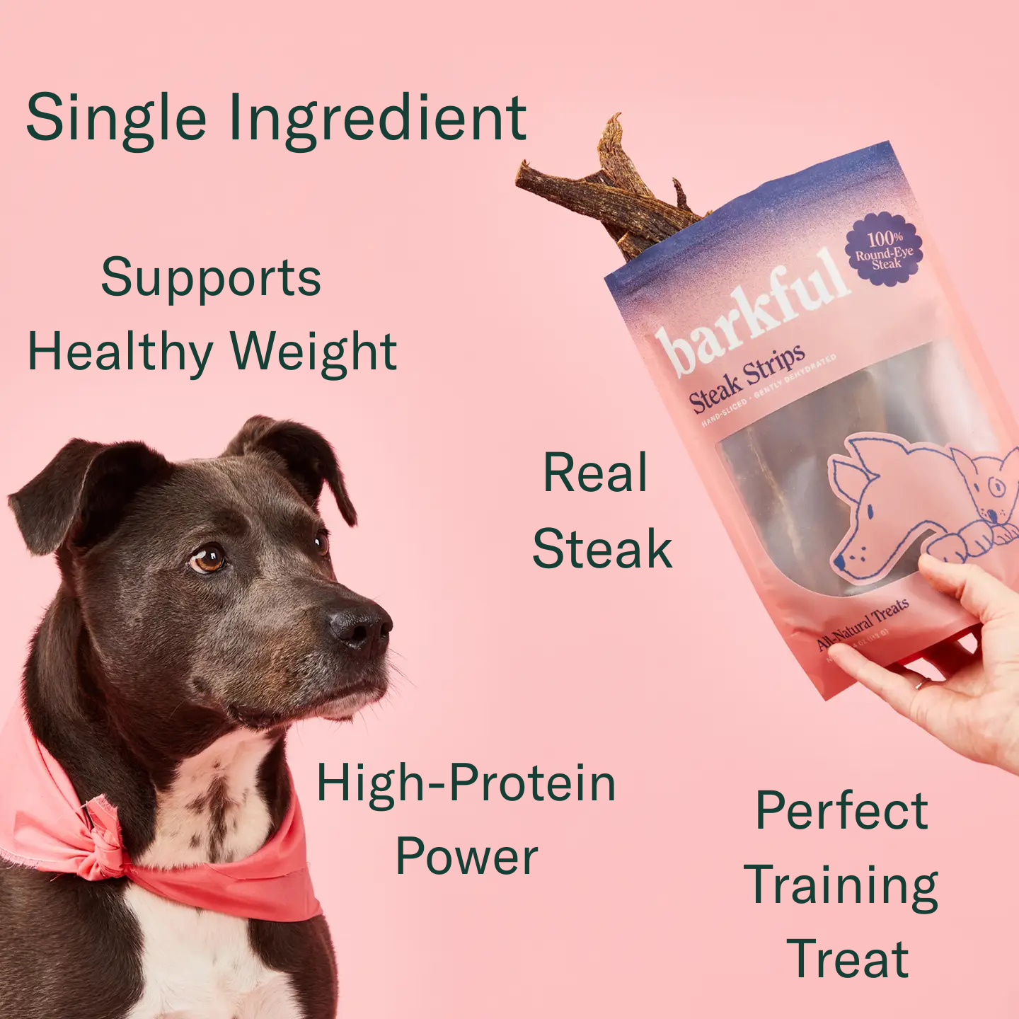 Barkful Meat Lovers