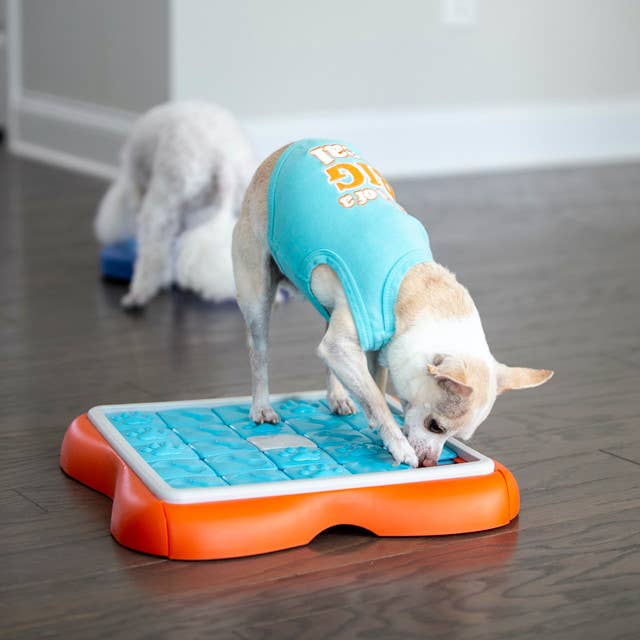 Nina Ottosson Challenge Slider Interactive Treat Dog Puzzle