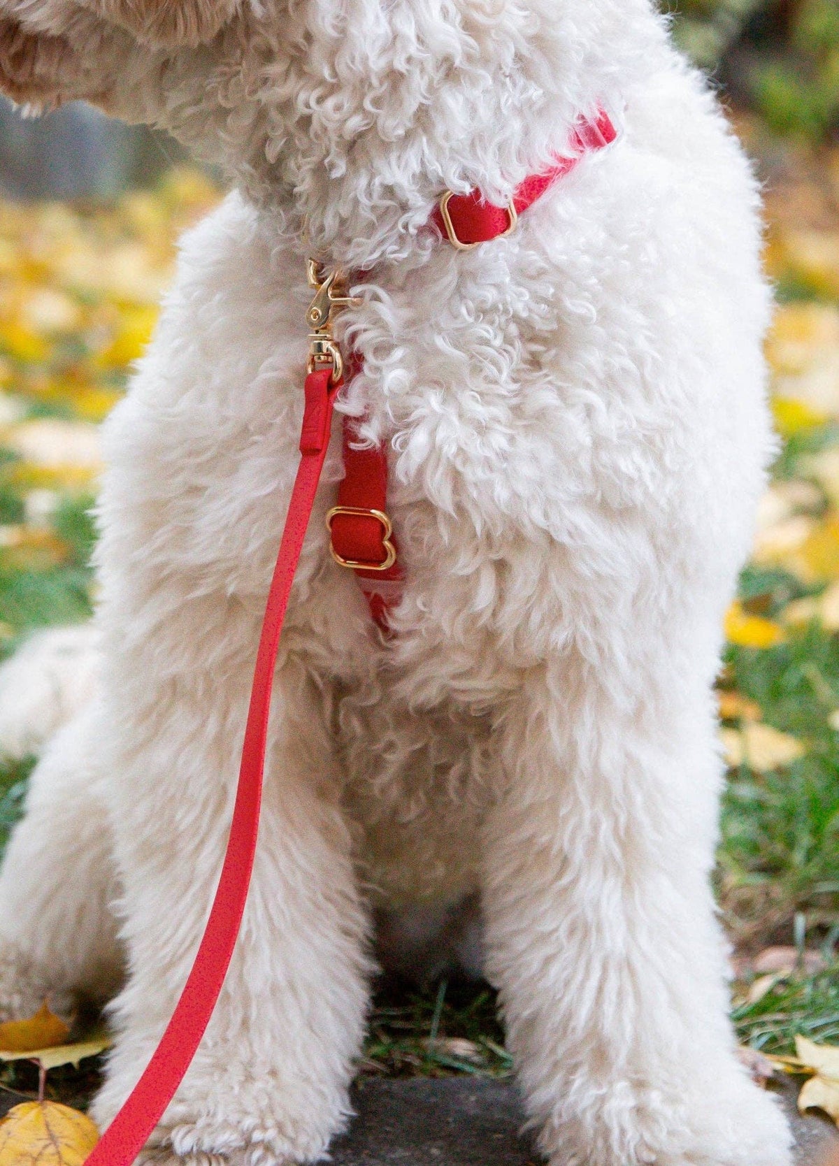 Cherry Red Waterproof Cloud Dog Leash