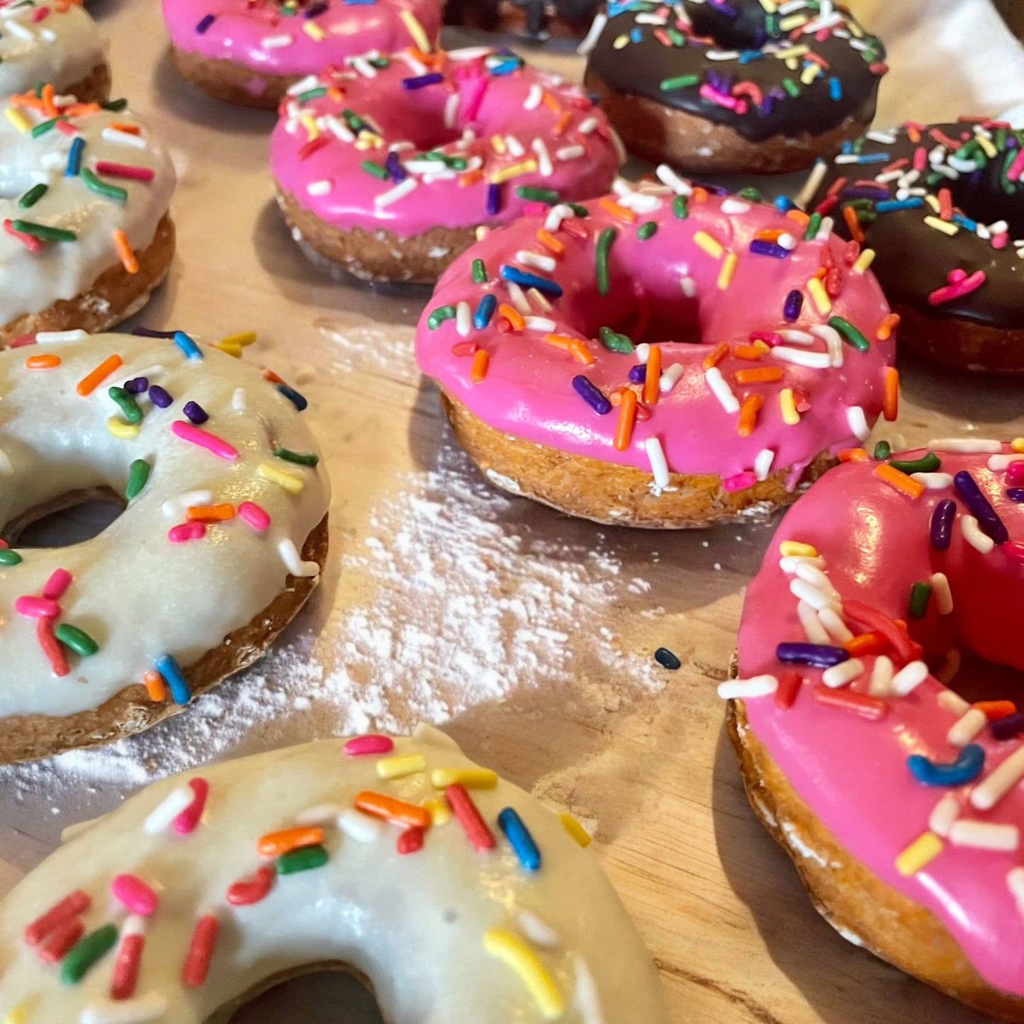 HOMER Classic🍩 Donut Dog treats