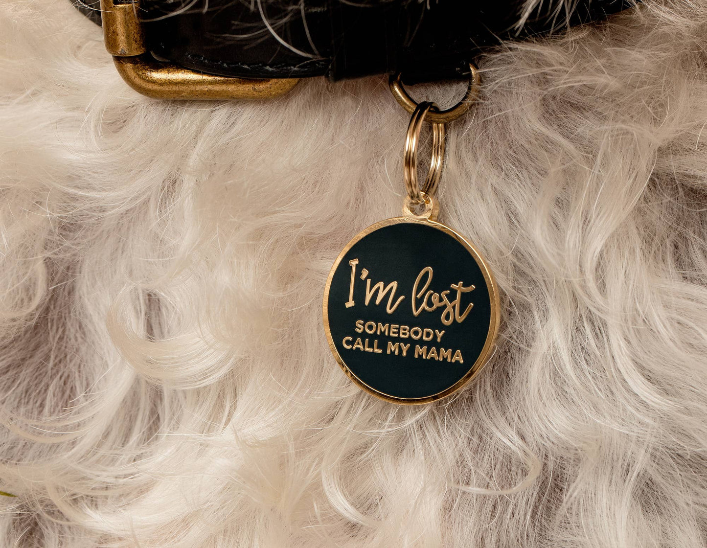 I'm Lost, Somebody Call My Mama Pet ID Tag