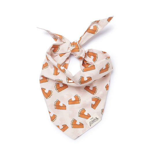 Pie Fall Dog Bandana