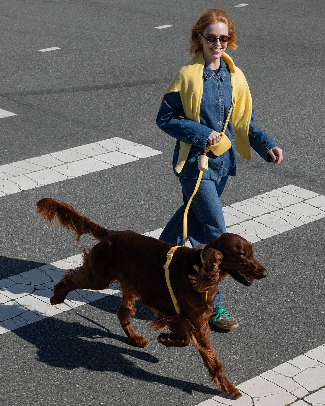 Dandelion Yellow Cloud Lite Dog Harness