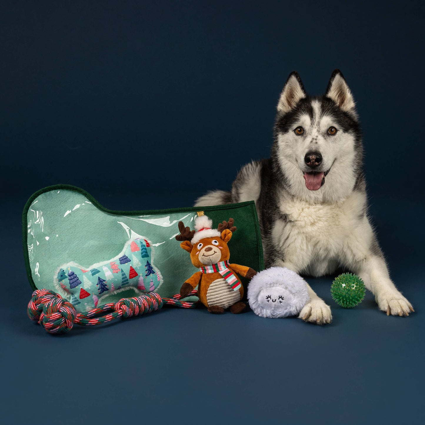 5 PC PAWLIDAY STOCKING