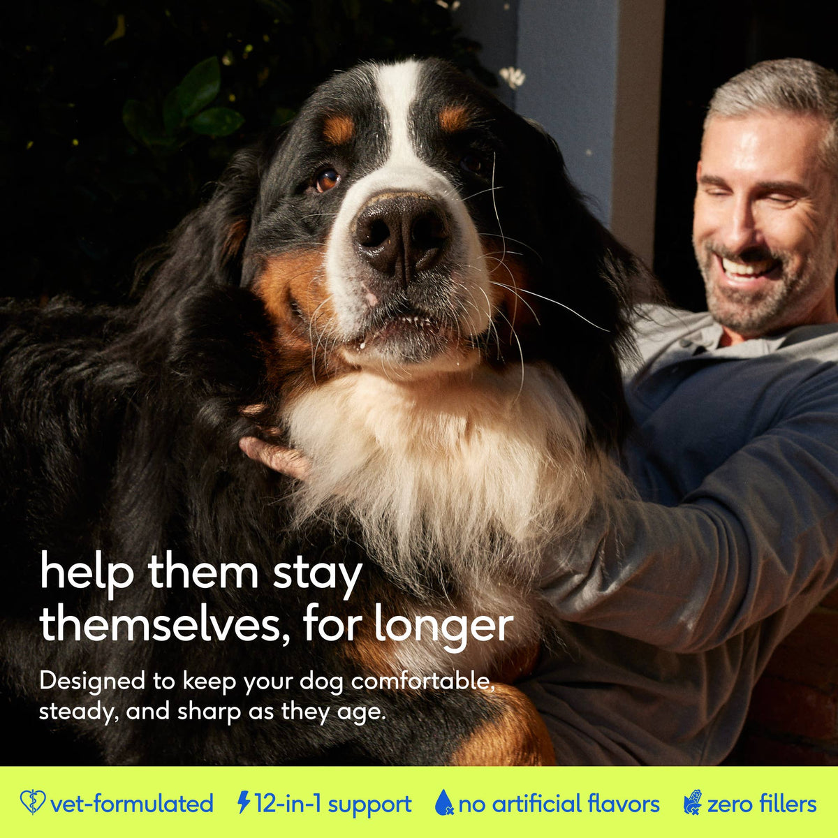 Senior Daily 12-in-1 Multivitamin Powder Supplement for Dogs