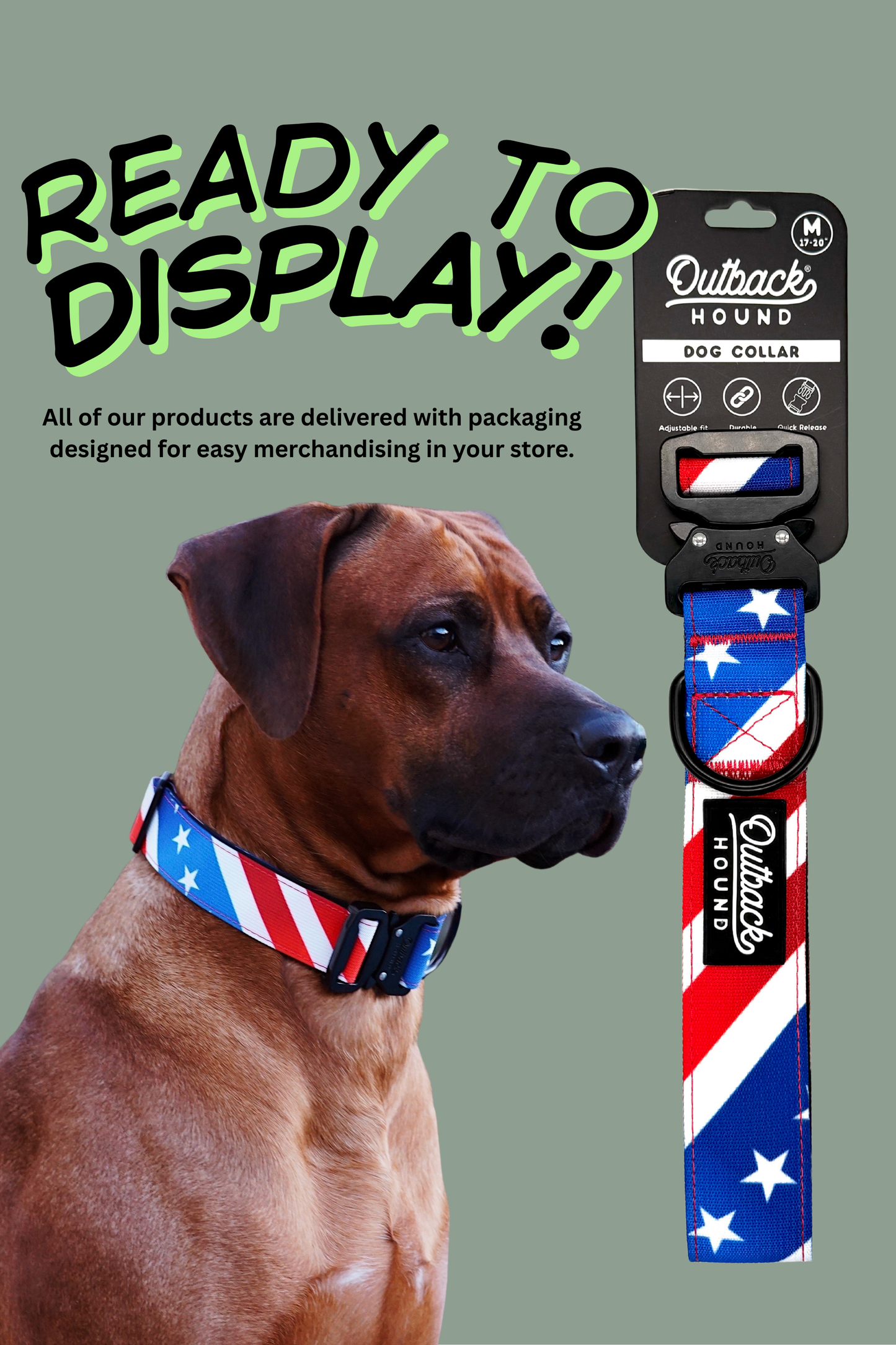 Mountain Sunrise Dog Collar