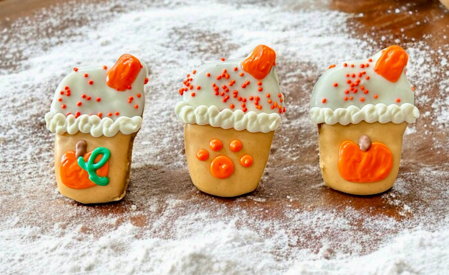 Mini Iced Pupkin Spice Coffee Dog Treat