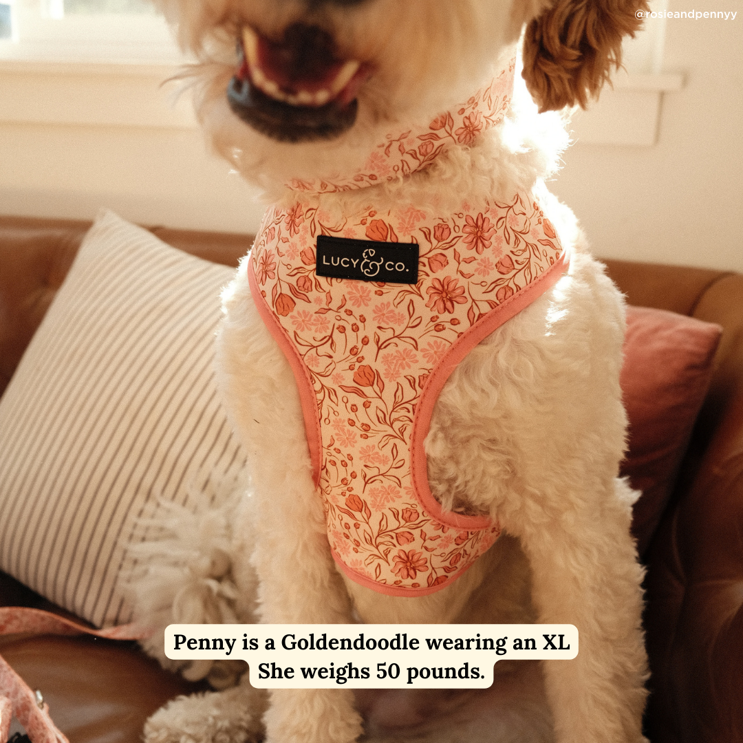 Woodland Wildflowers Reversible Harness