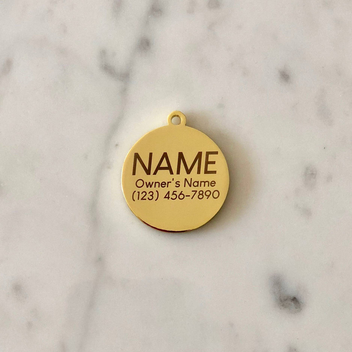 That is So Fetch Pet ID Tag