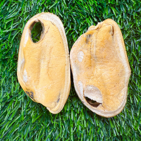New Zealand Green-Lipped Mussel